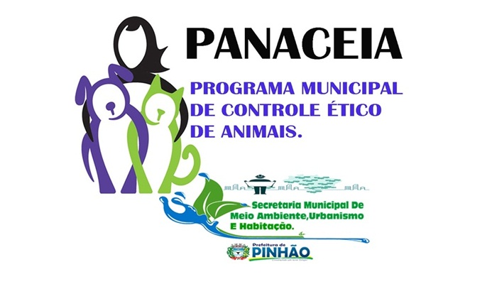 Pinhão - Prefeitura iniciará ações para controlar o antigo problema da superpopulação de animais de rua