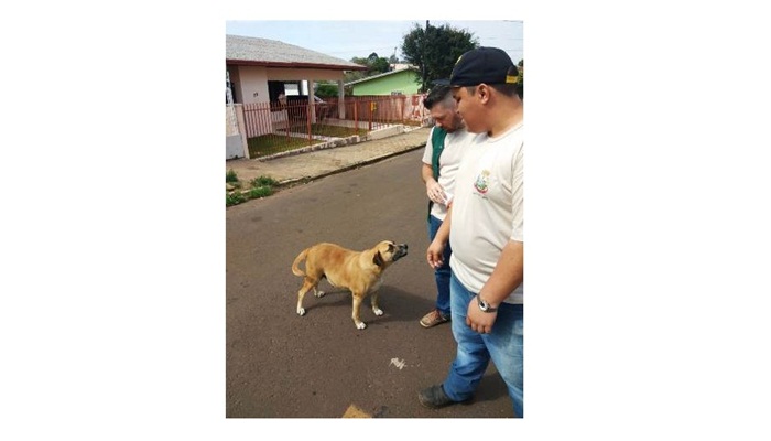 Guaraniaçu - Envenenar animais é crime e dá cadeia