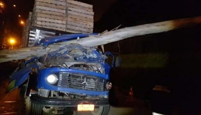 Árvore cai em cabine de caminhão e condutor escapa ileso