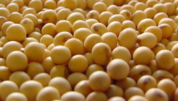 Quantidade exportada da soja já é recorde para um mês de outubro