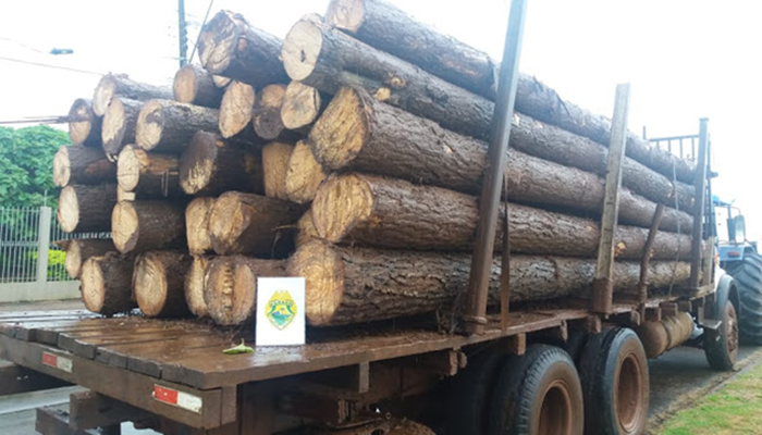Espigão Alto - Polícia Ambiental apreende madeira ilegal e trator