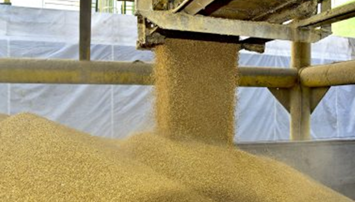 Porto de Paranaguá bate recorde de exportação de soja