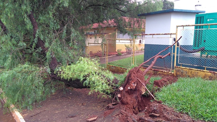 Ibema - Chuva com ventos fortes provocam estragos na cidade