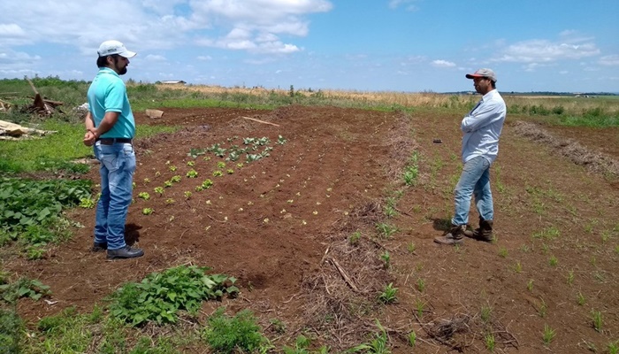 Reserva do Iguaçu - Projeto ‘Renda Agricultor’ melhora a vida de 13 famílias quilombolas