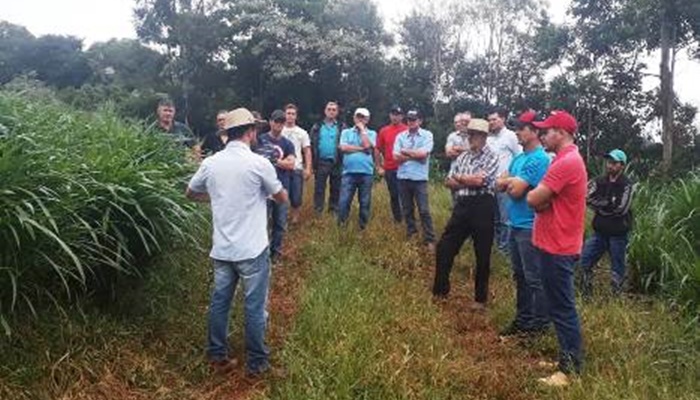 Guaraniaçu - Agricultura realiza Dia de Campo sobre Ovinos e Caprinos