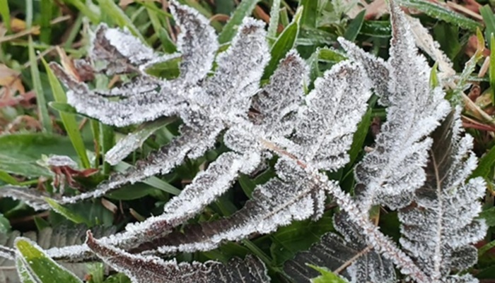 Serra registra primeira temperatura negativa em 2019 em SC