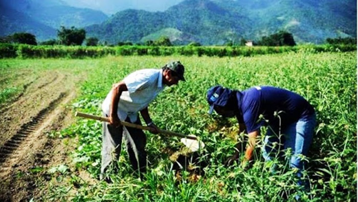 Novo golpe na praça mira agricultores de Cascavel e região
