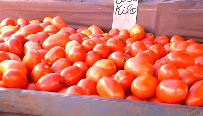 Preço do tomate dispara no país e pode atingir valores históricos em abril