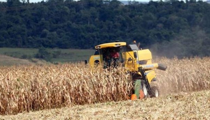 Paraná deve produzir 37,3 milhões de toneladas de grãos na safra 2018/2019