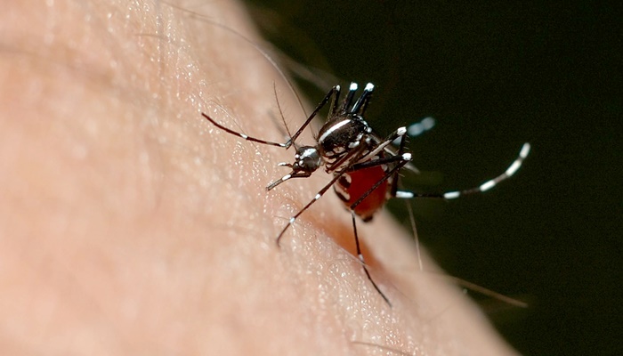 Laranjeiras - Dois casos importados de Dengue são confirmados