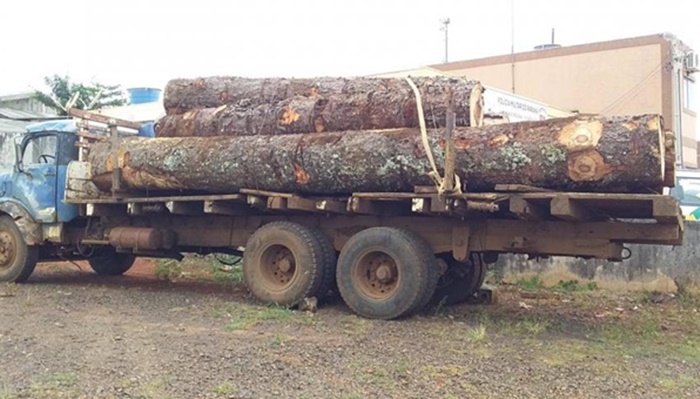 Reserva do Iguaçu - Polícia Ambiental realizou a apreensão de caminhão com Pinheiro Araucária