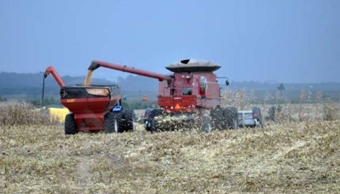 Safra de grãos do Paraná poderá chegar a 37 milhões de toneladas