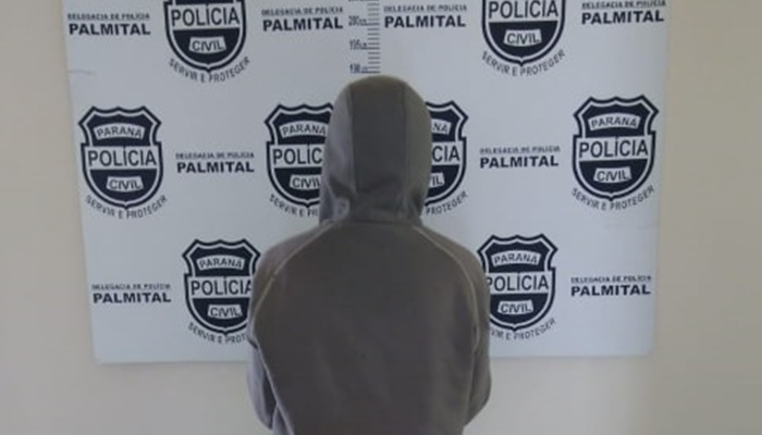 Palmital - Polícia Civil cumpre mandado de prisão por crime de estupro de vulnerável, violência doméstica e cárcere privado