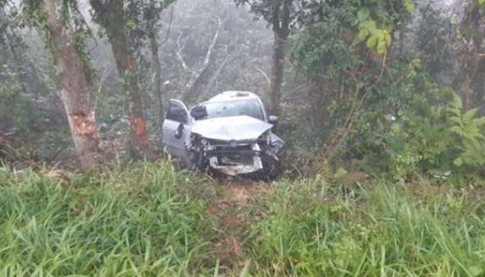 Homem fica gravemente ferido, após bater carro contra árvores na BR 277