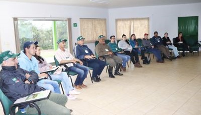 Candói - Manejo de ovinocultura de corte é tema de curso no município