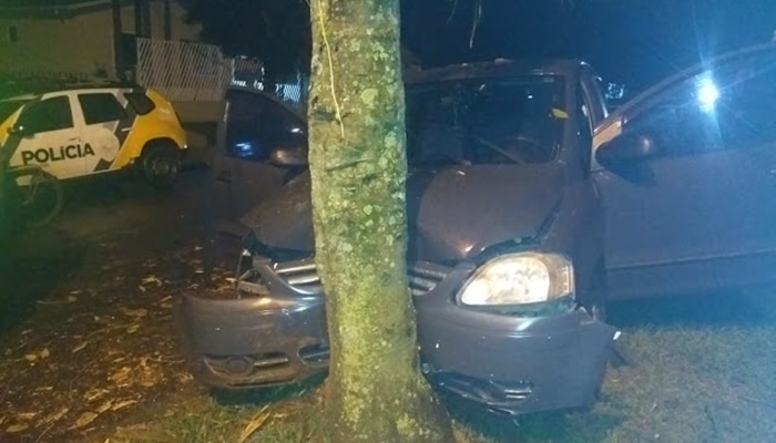 Laranjeiras - Veículo invade canteiro e bate violentamente em arvore na Avenida Alvaro Natel Camargo