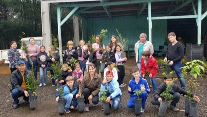 Nova Laranjeiras - Escolas desenvolvem projetos sobre árvores e horta orgânica