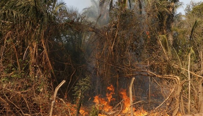 Três Barras - Município enfrenta diversas queimadas em poucas semanas
