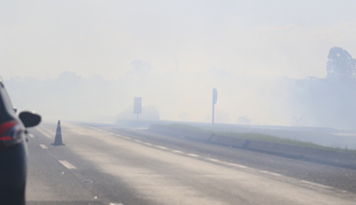 Número de incêndios no Paraná cresce mais de 10% em 2019