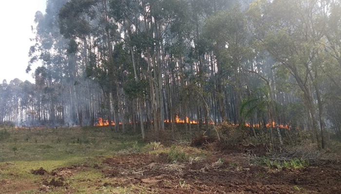 Guaraniaçu - Defesa Civil pede alerta a moradores com relação a queimadas
