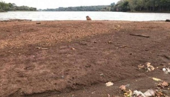 Falta de chuva provocou queda na vazão de rios e preocupa Sanepar