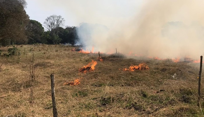 Laranjeiras - Corpo de Bombeiros atende incêndio de vegetação em antiga área de serraria