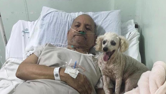 Hospital Santa Tereza permite que cão visite o dono em Guarapuava