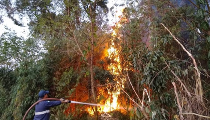 Defesa Civil combate incêndio na Reserva Indígena Guarani, na BR 373 entre Candói e Chopinzinho