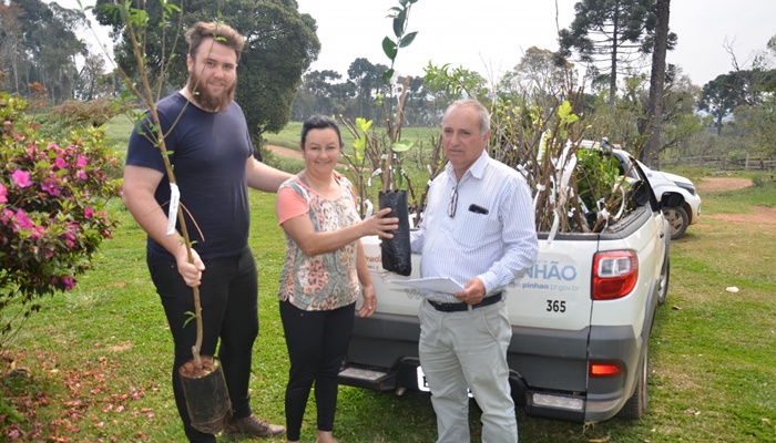 Pinhão - Prefeitura realiza entrega mudas de árvores frutíferas para produtores rurais