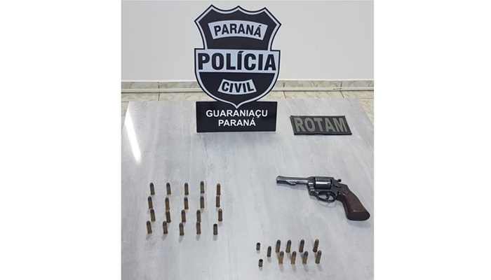 Guaraniaçu - Policiais cumprem mandados no combate ao desarmamento