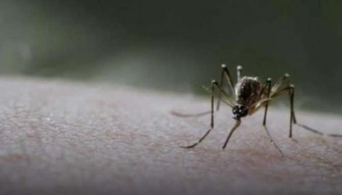Dengue: Mesmo com alerta, aumenta o número de cidades em epidemia