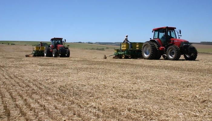 Governo diz que safra de grãos deve chegar a 23,4 milhões de toneladas no Paraná