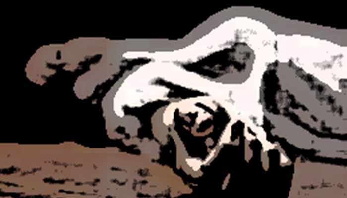 Mortes decorrentes de quedas aumentam 258% no Paraná em 18 anos