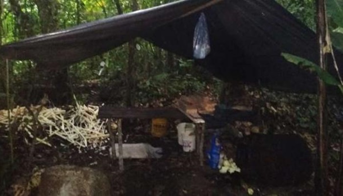 Polícia Ambiental descobre fábrica ilegal de palmito dentro de matagal
