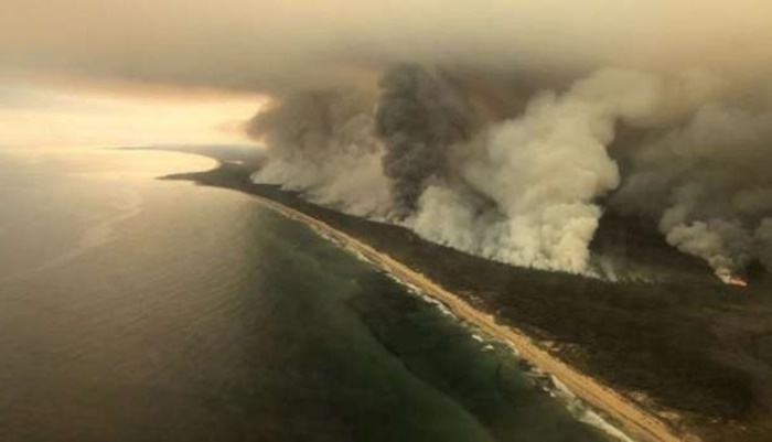 Fogo na Austrália é 'catástrofe ecológica', diz cientista