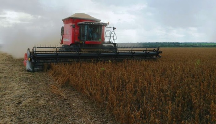 Quatro municípios começaram a colher a soja no Paraná, diz Deral