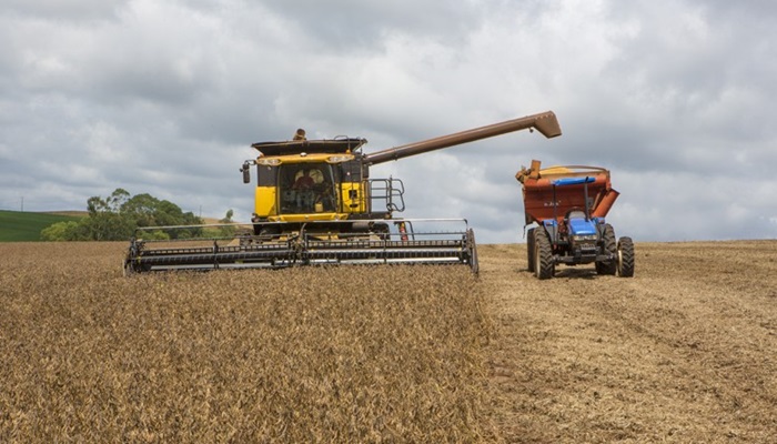Segundo Deral, Paraná colheu apenas 4% da área de soja plantada em 2019
