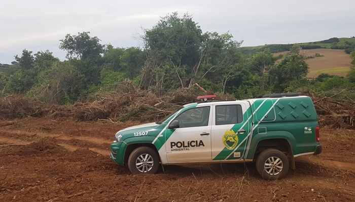 Catanduvas - Polícia Ambiental prende proprietário de área rural pelo crime de desmatamento