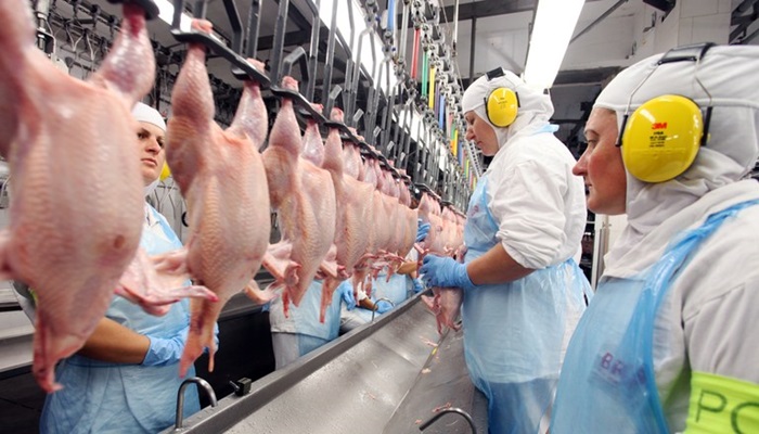 Arábia Saudita suspende importação de frango de duas plantas da BRF