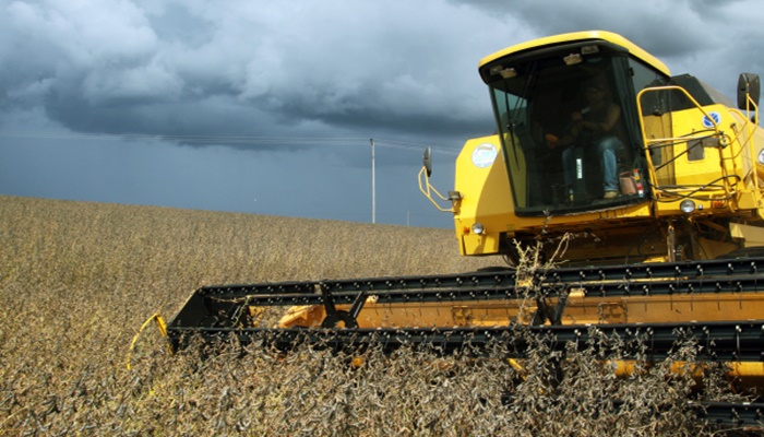 Paraná deve produzir 24,1 milhões de toneladas de grãos