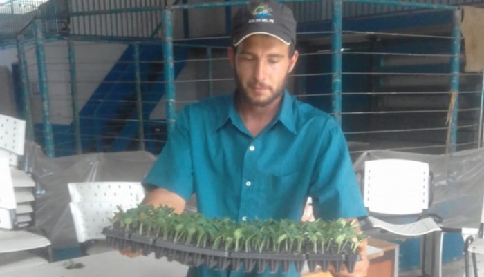 Pinhão - Prefeitura inicia distribuição de mudas para produtores de pepinos