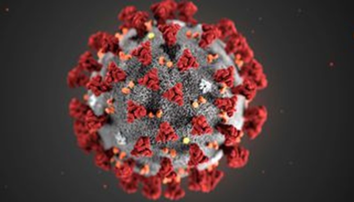 Há casos do novo coronavírus em 47 países dos cinco continentes
