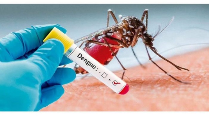 Em apenas uma semana, 12 pessoas morrem por dengue no Paraná