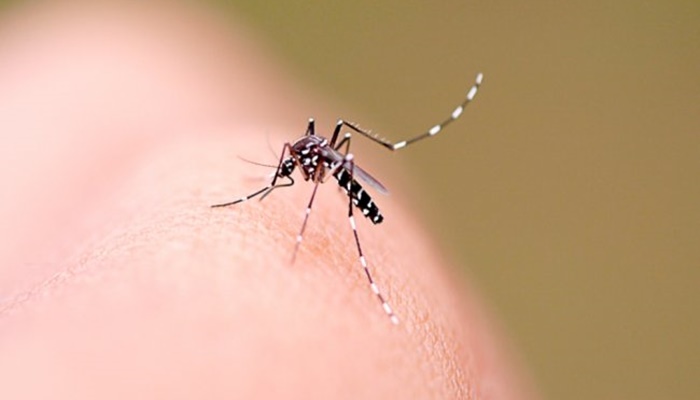 Três Barras - Sobe para 8 número de casos de dengue