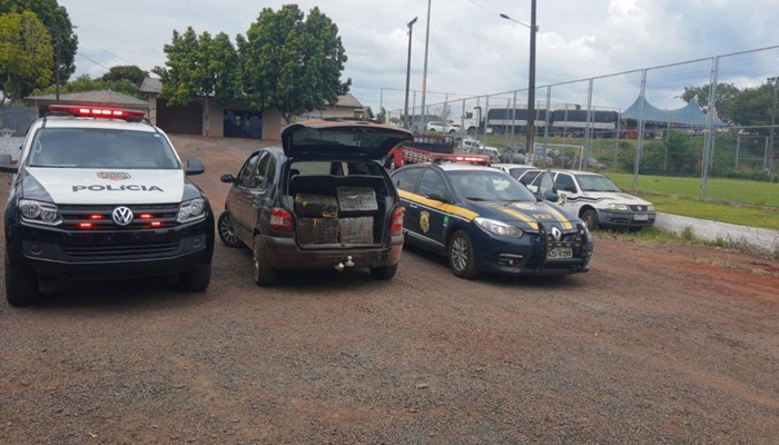PRF e Polícia Civil prendem traficante com 240 quilos de maconha em Santa Lúcia