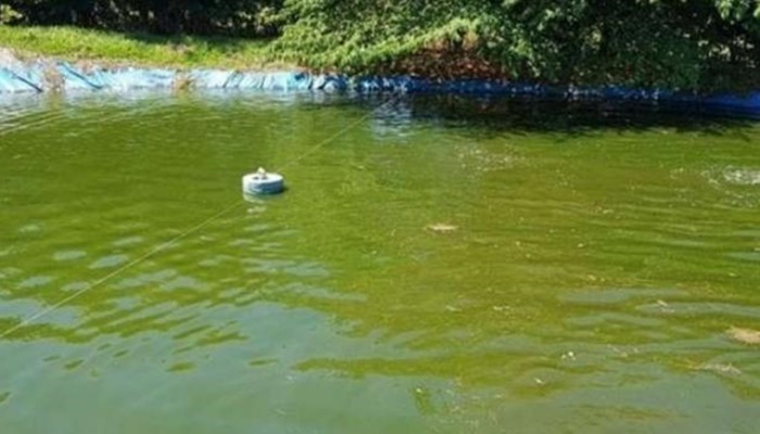 Menino de cinco anos morre afogado em tanque de peixes no Noroeste do Paraná