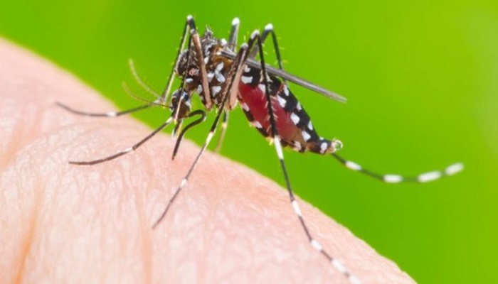 Virmond - Município confirma primeiro caso de dengue