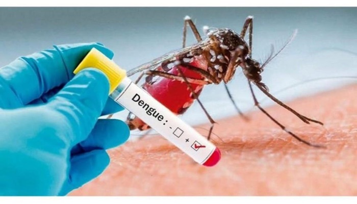 Nova Laranjeiras - Município confirma mais dois casos de Dengue