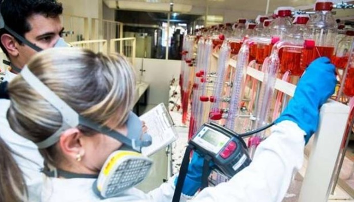 Parceria vai fortalecer cadeia produtiva de biogás no Paraná