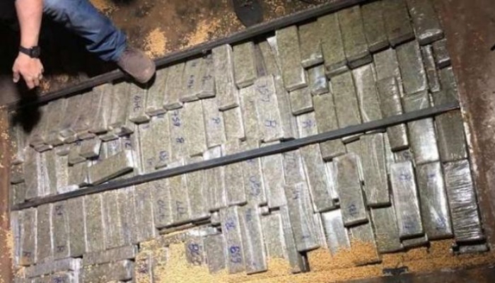 Cresce em 40% número de apreensão de drogas no Paraná